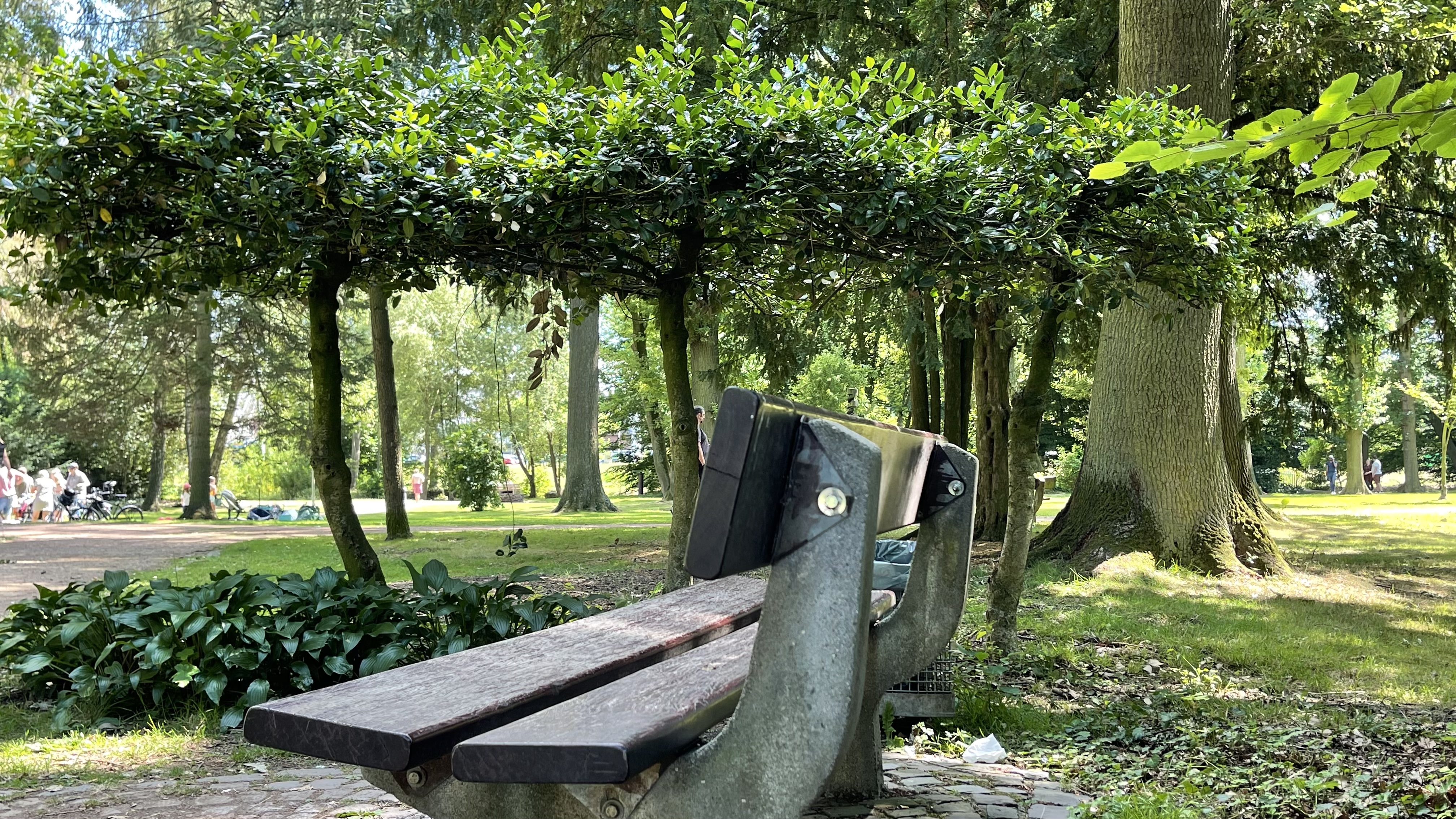 Naturnaher Wald als Ort der Beisetzung — Naturbestattung in der Region Wegberg